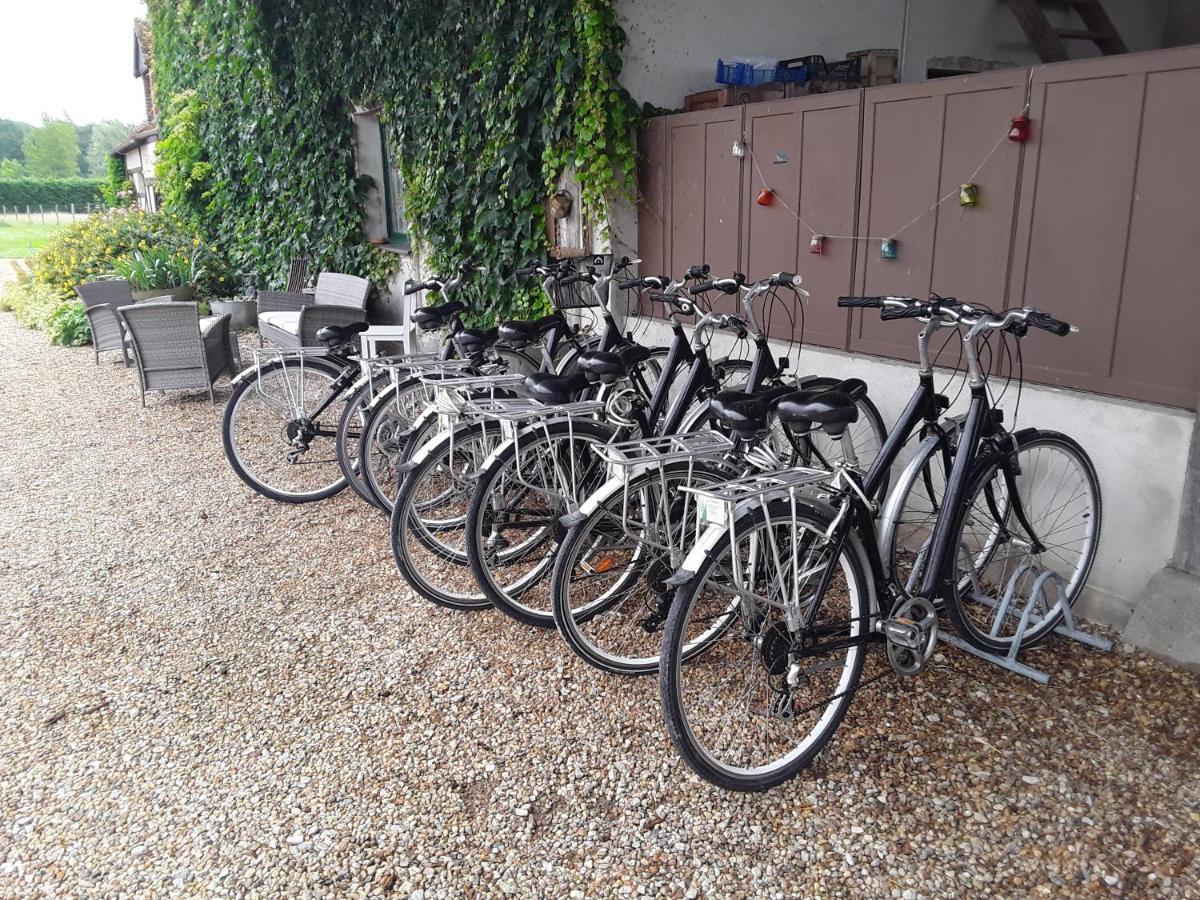 La Belviniere Chambres Et Table D'Hotes Tour-en-Sologne Ngoại thất bức ảnh