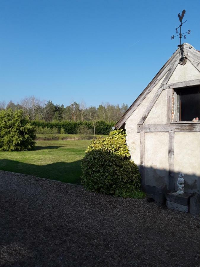 La Belviniere Chambres Et Table D'Hotes Tour-en-Sologne Ngoại thất bức ảnh