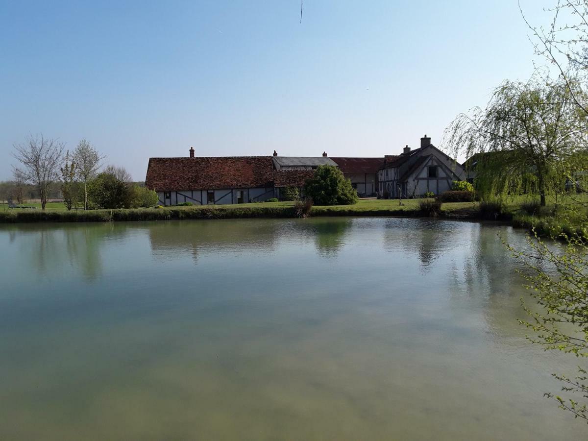 La Belviniere Chambres Et Table D'Hotes Tour-en-Sologne Ngoại thất bức ảnh