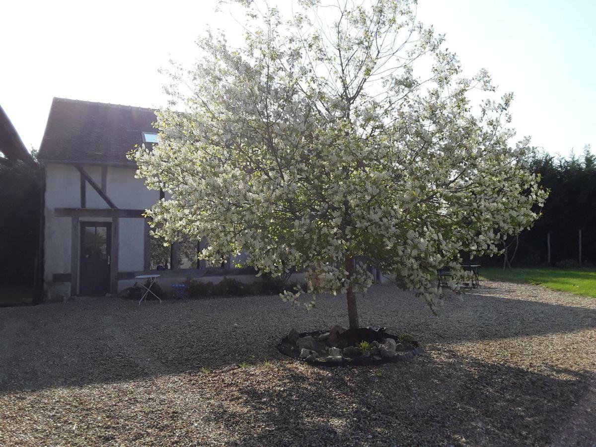 La Belviniere Chambres Et Table D'Hotes Tour-en-Sologne Ngoại thất bức ảnh